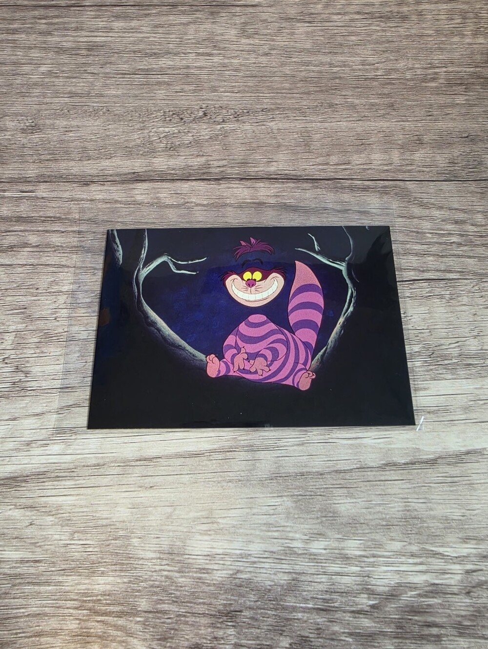 ✨️BUY 3 FOR $22 The Cheshire Cat, Alice In Wonderland, 1951 Postcard